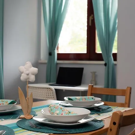 Vanda Матульи