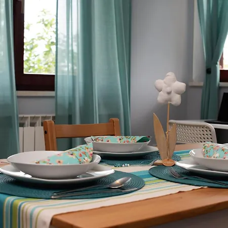 Vanda Матульи