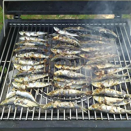 Апартаменты Vanda